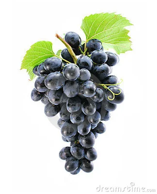 Uva composta es de pel, glarea o suc et de gras; raím, suc, mosto, grans Uva composta es de pel, glarea o suc et de gras; raím, suc, mosto, grans